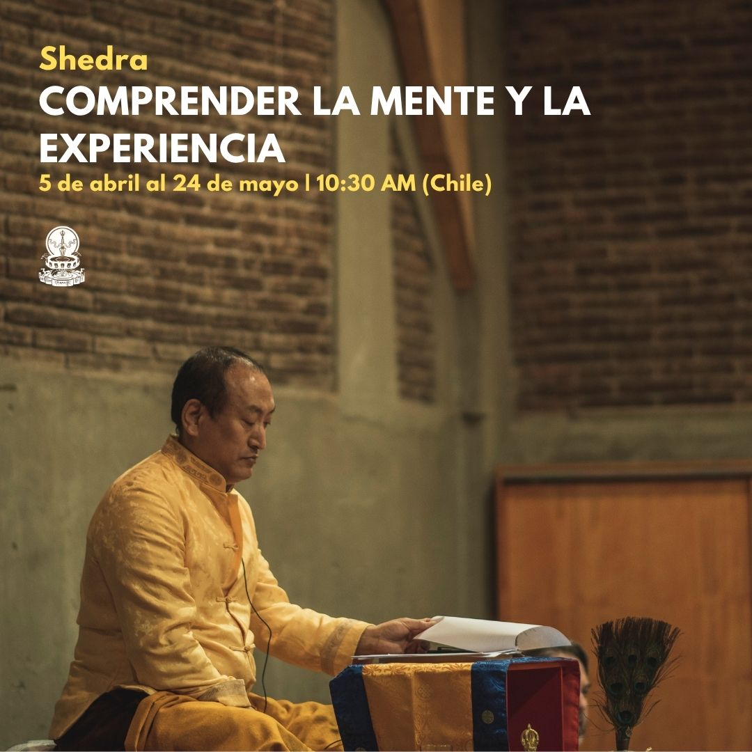 Comprender la Mente y la Experiencia por Younge Khachab Rinpoche